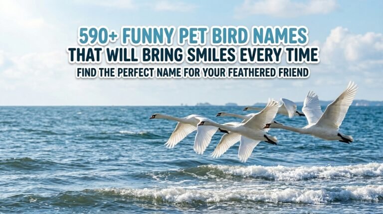 590+ Funny Pet Bird Names That Will Bring Smiles Every Time