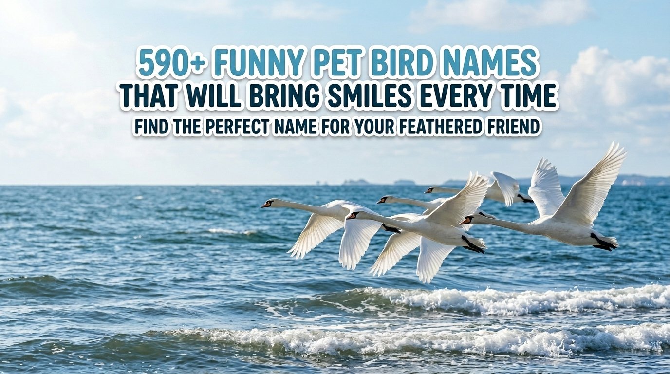 590+ Funny Pet Bird Names That Will Bring Smiles Every Time